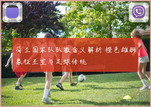 荷兰国家队队徽含义解析 橙色雄狮象征王室与足球传统