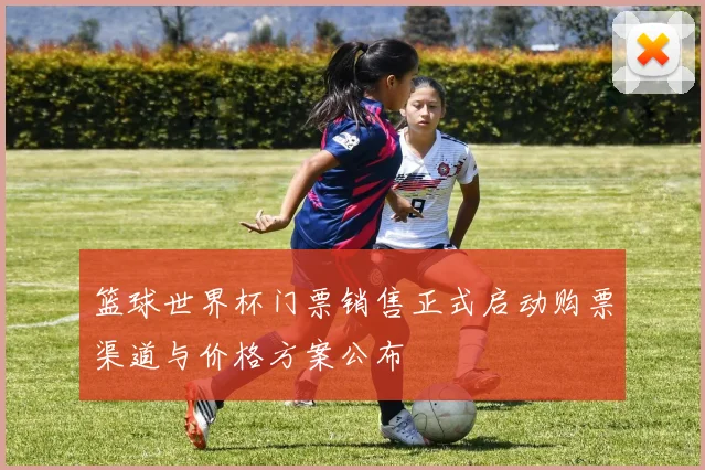 篮球世界杯门票销售正式启动购票渠道与价格方案公布