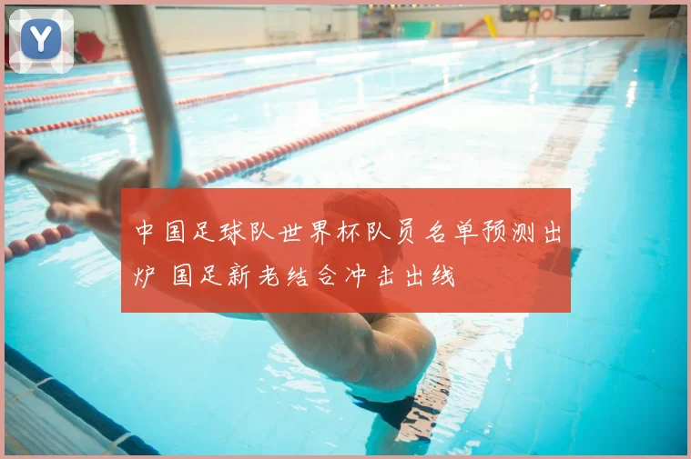 中国足球队世界杯队员名单预测出炉 国足新老结合冲击出线