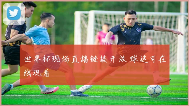世界杯现场直播链接开放 球迷可在线观看