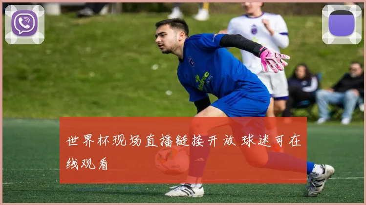 世界杯现场直播链接开放 球迷可在线观看