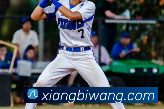 App Interface Preview